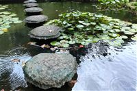 凯柏胶宝 | 为智能垃圾桶提供更稳定、更耐久的材料解决方案